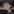 Avatar de tuerkas_19