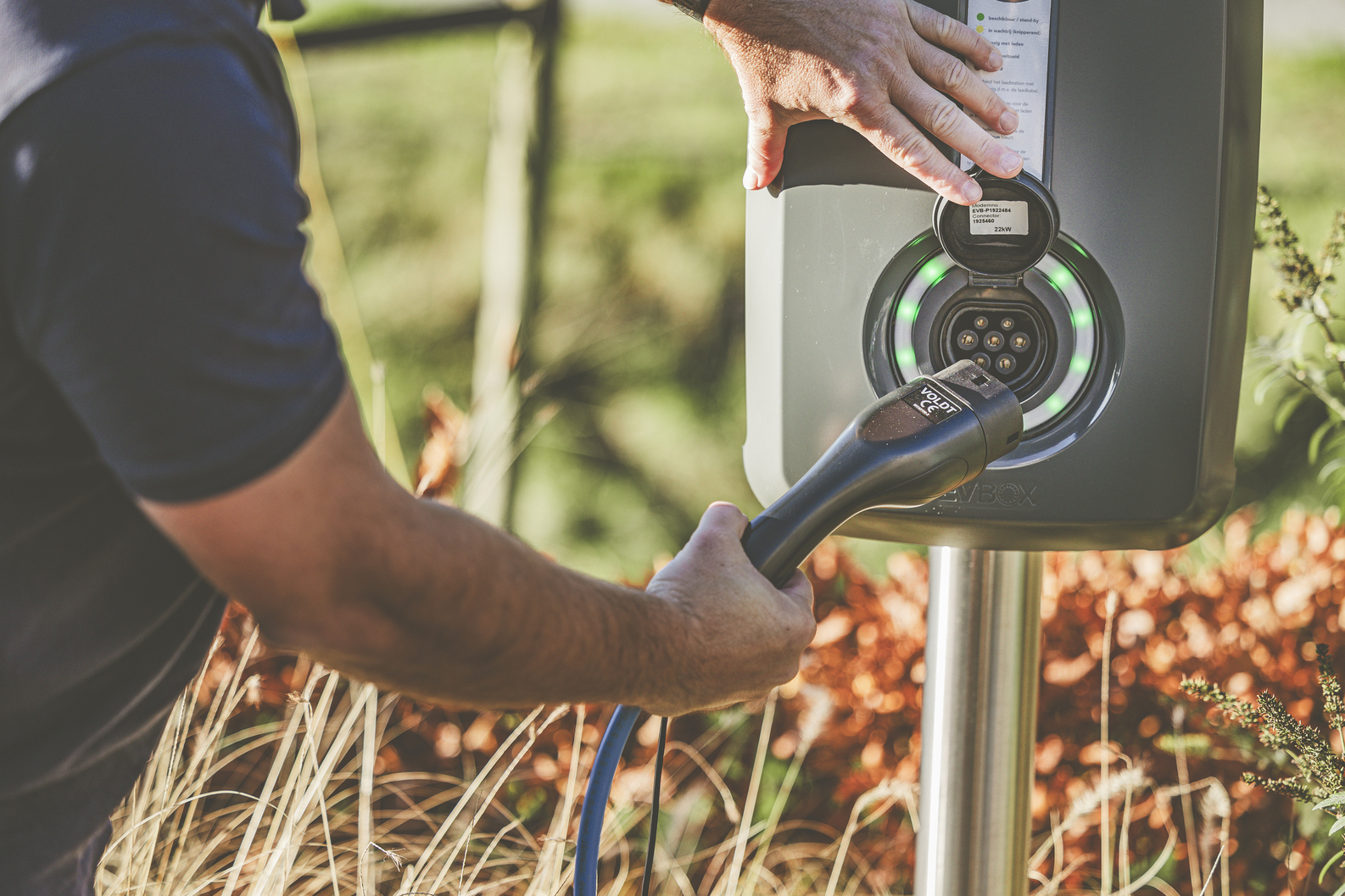 Cargadores de coches eléctricos: precios cada vez más accesibles 1