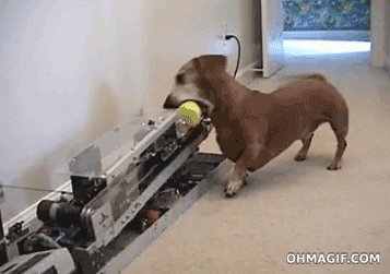 Forever alone machine funny gif on gifer - by bagra