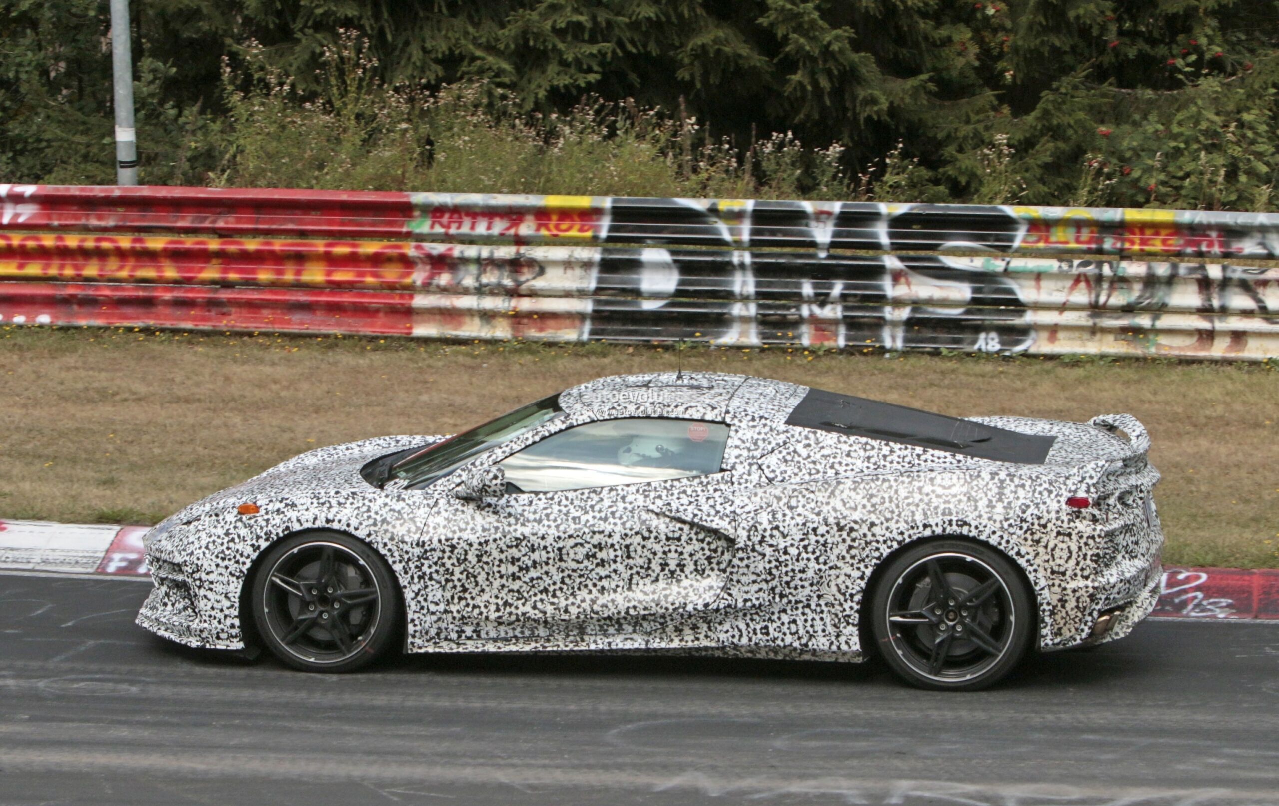 Chevrolet corvette c8 stingray (2019)
