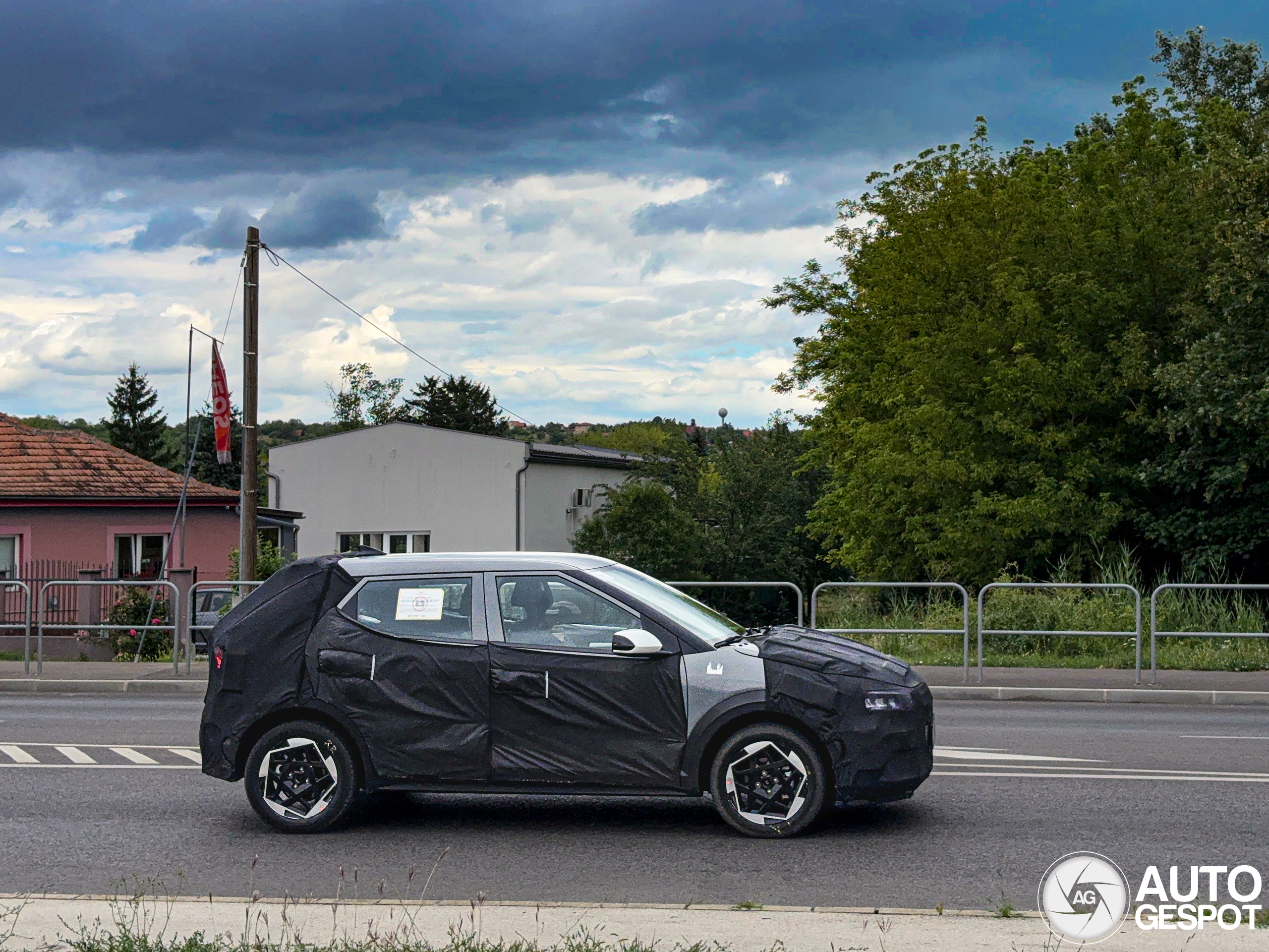 Dacia mule
