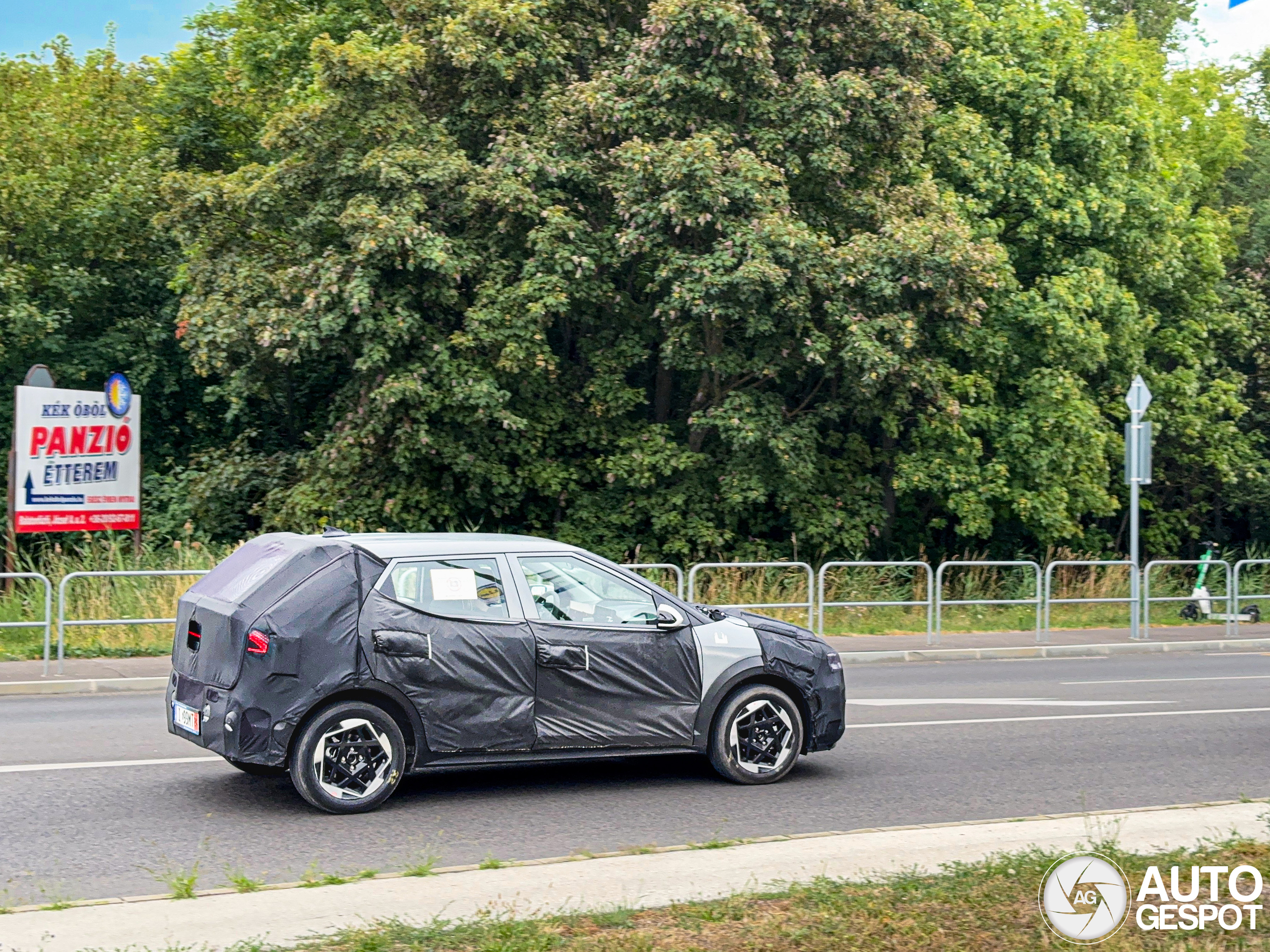 Dacia mule