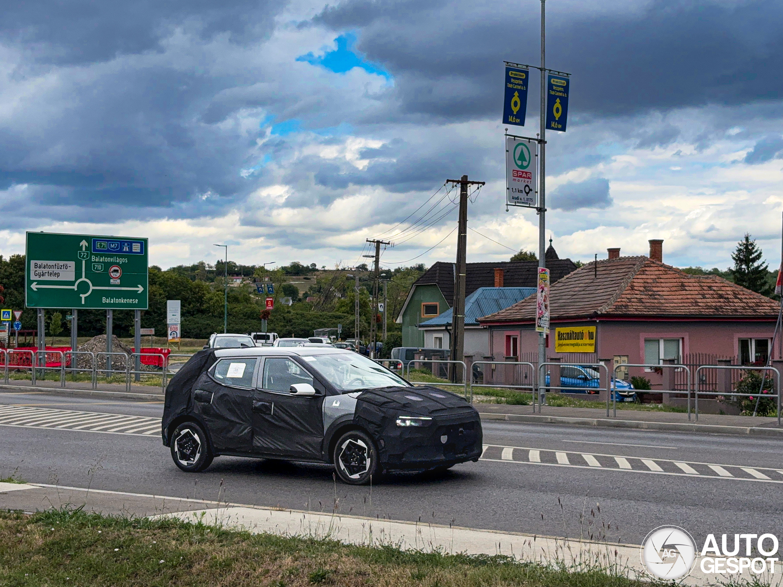 Dacia mule