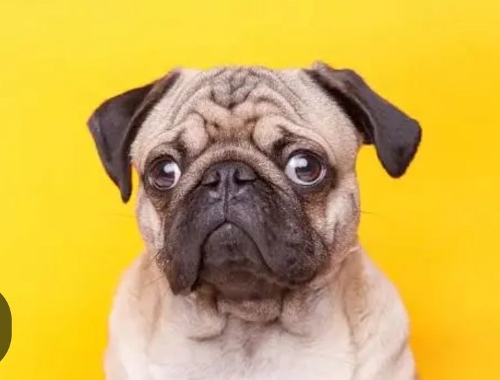 Screenshot_20251117_204011_Google