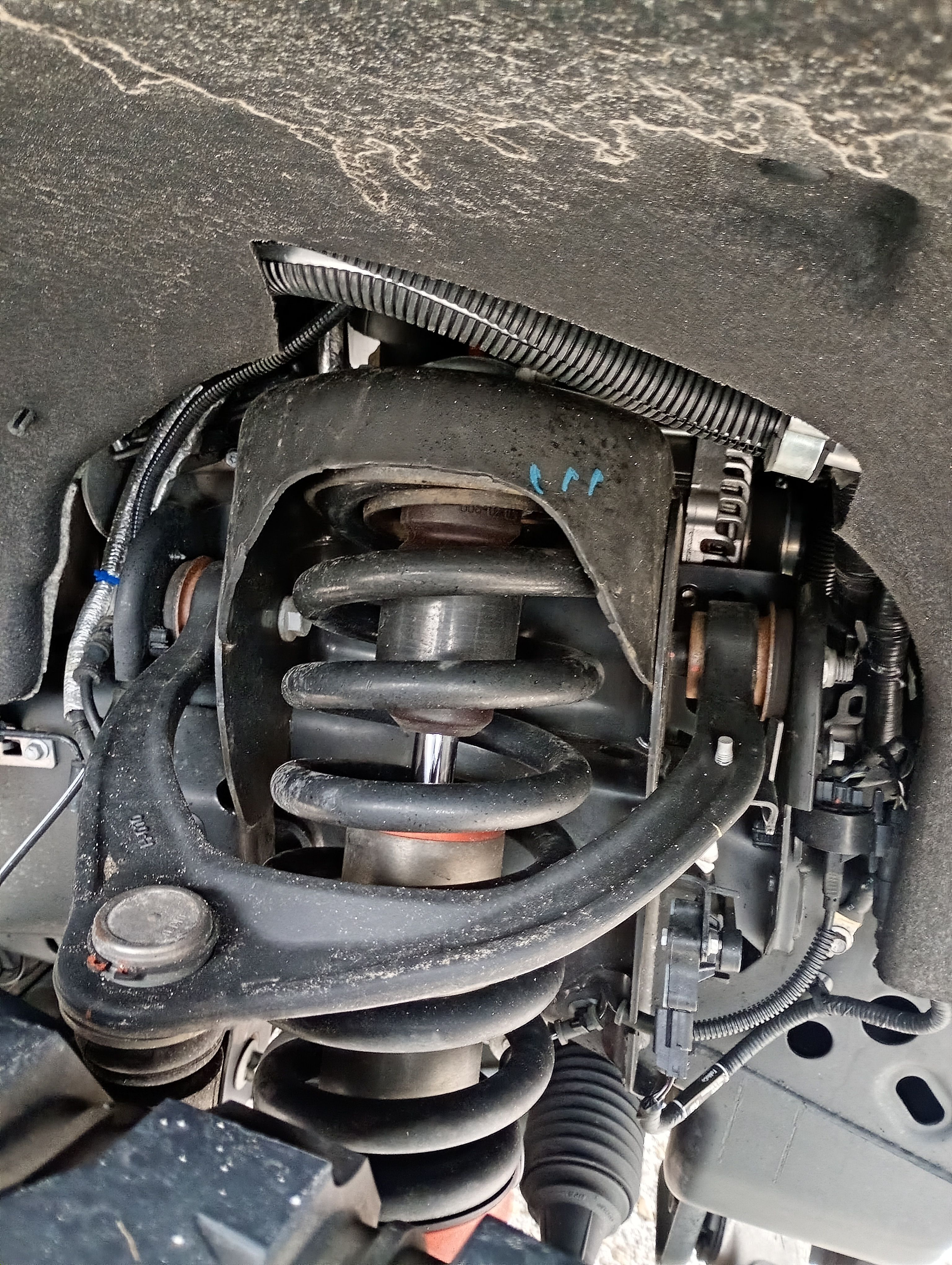 IMG_20260211_163832110_NV