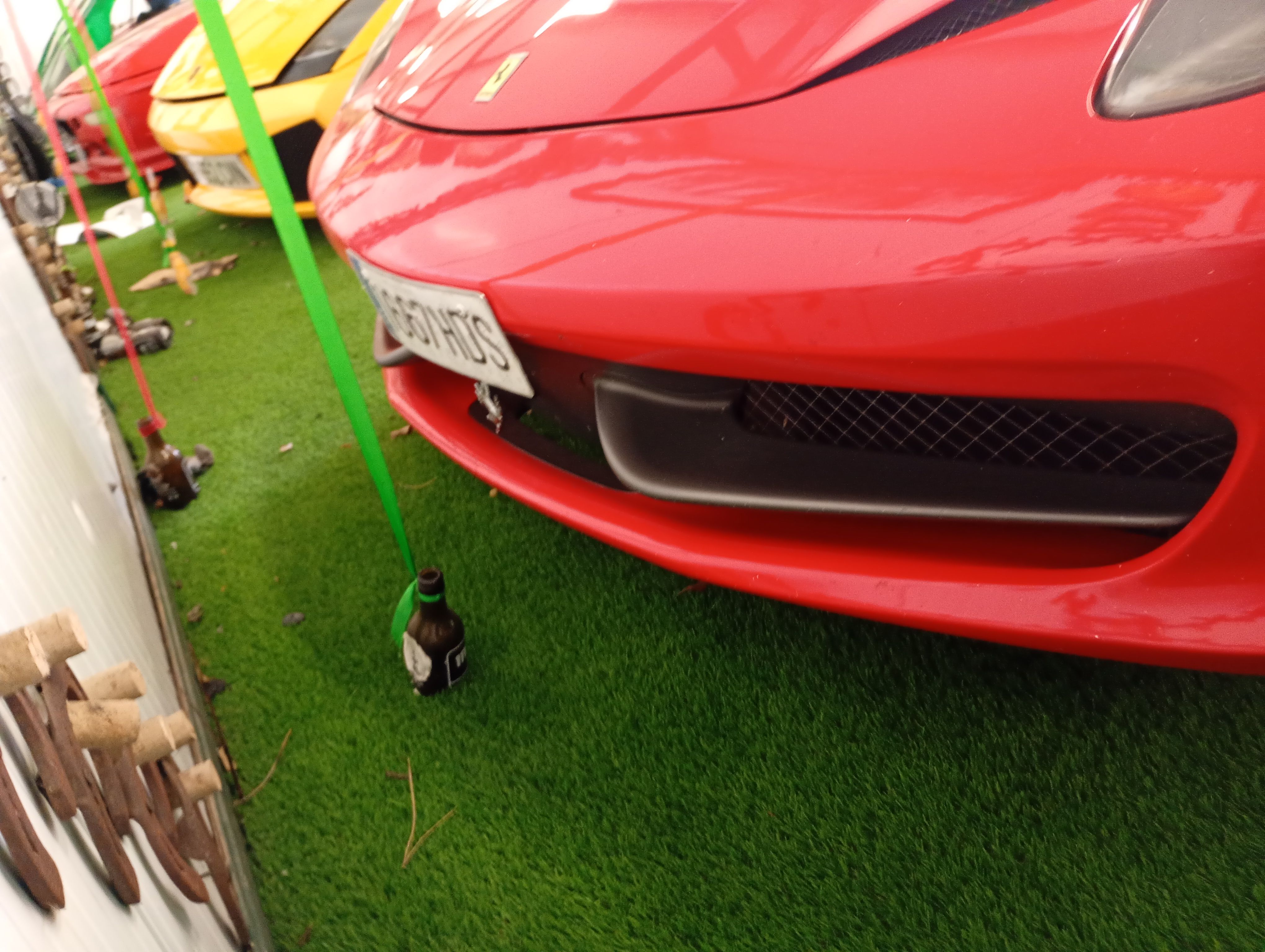 IMG_20260213_125841041_MFNR