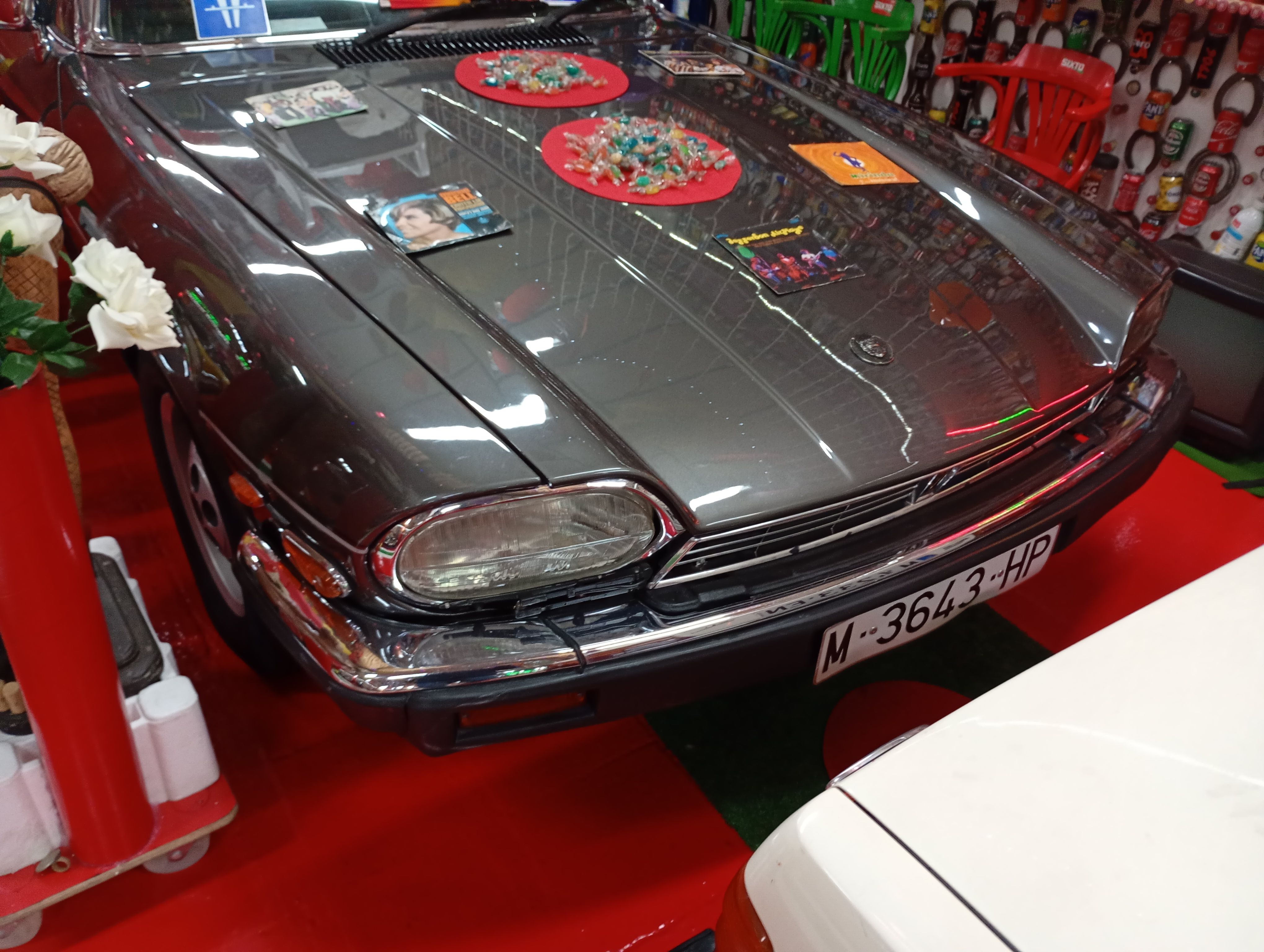 IMG_20260213_114931691_MFNR