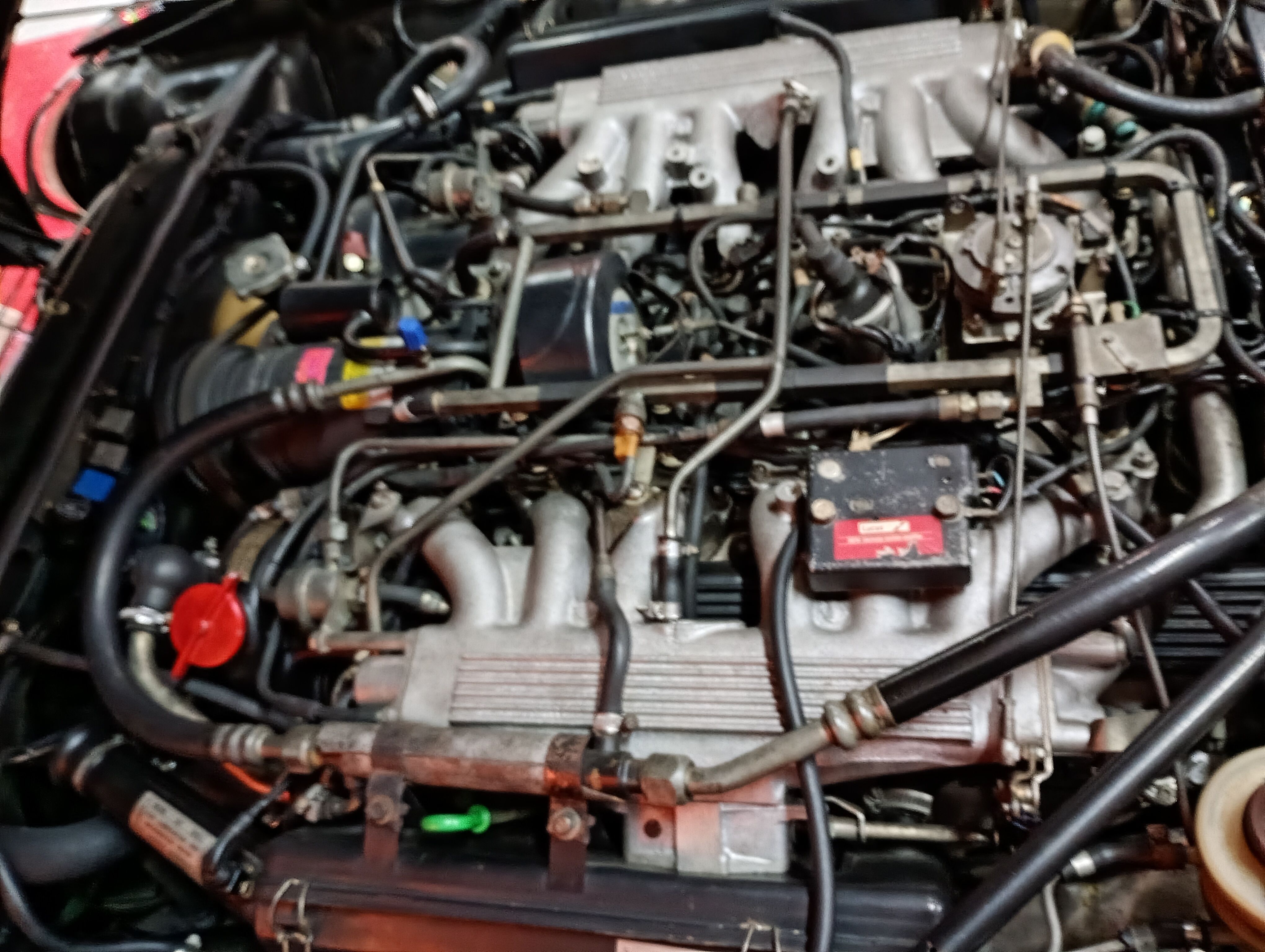 IMG_20260213_122059809_NV