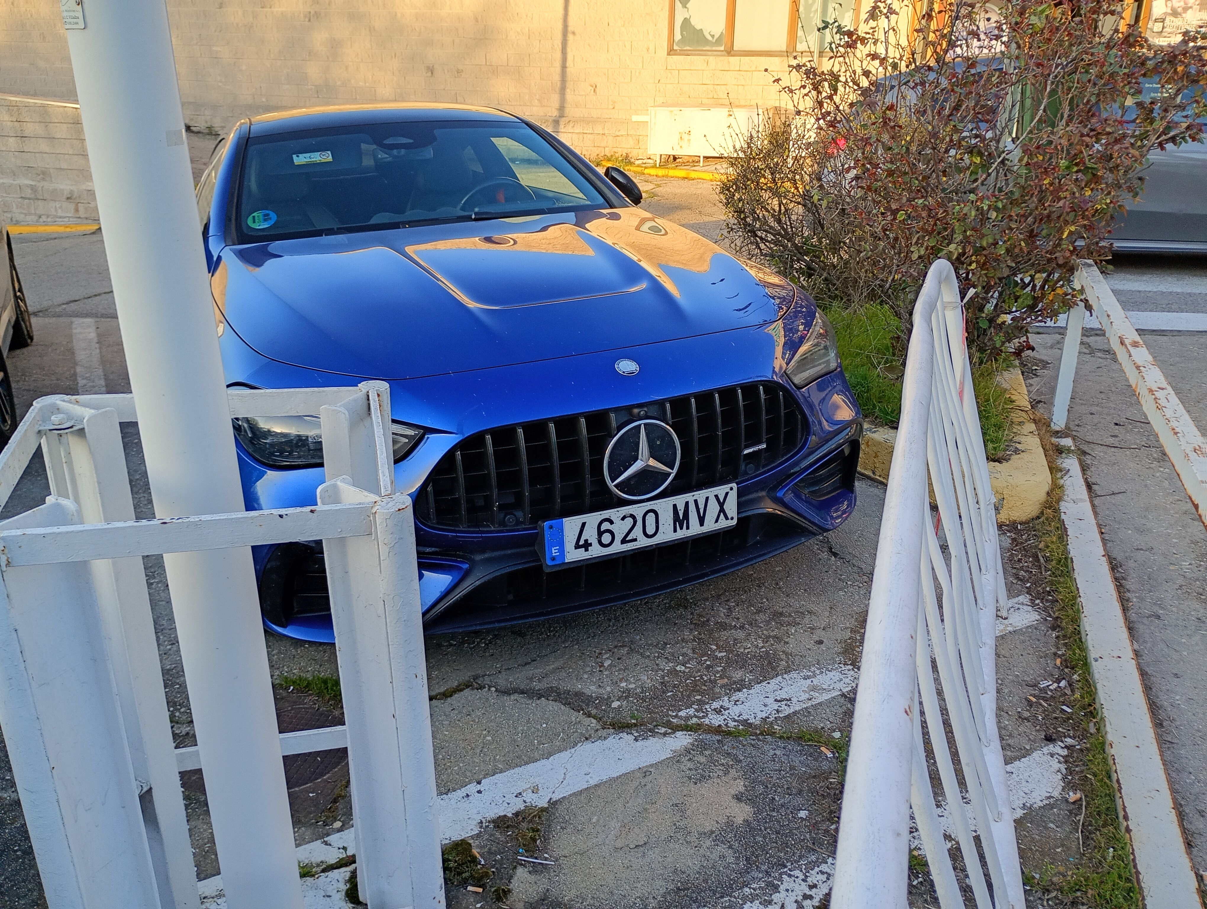 IMG_20260226_182448559_HDR