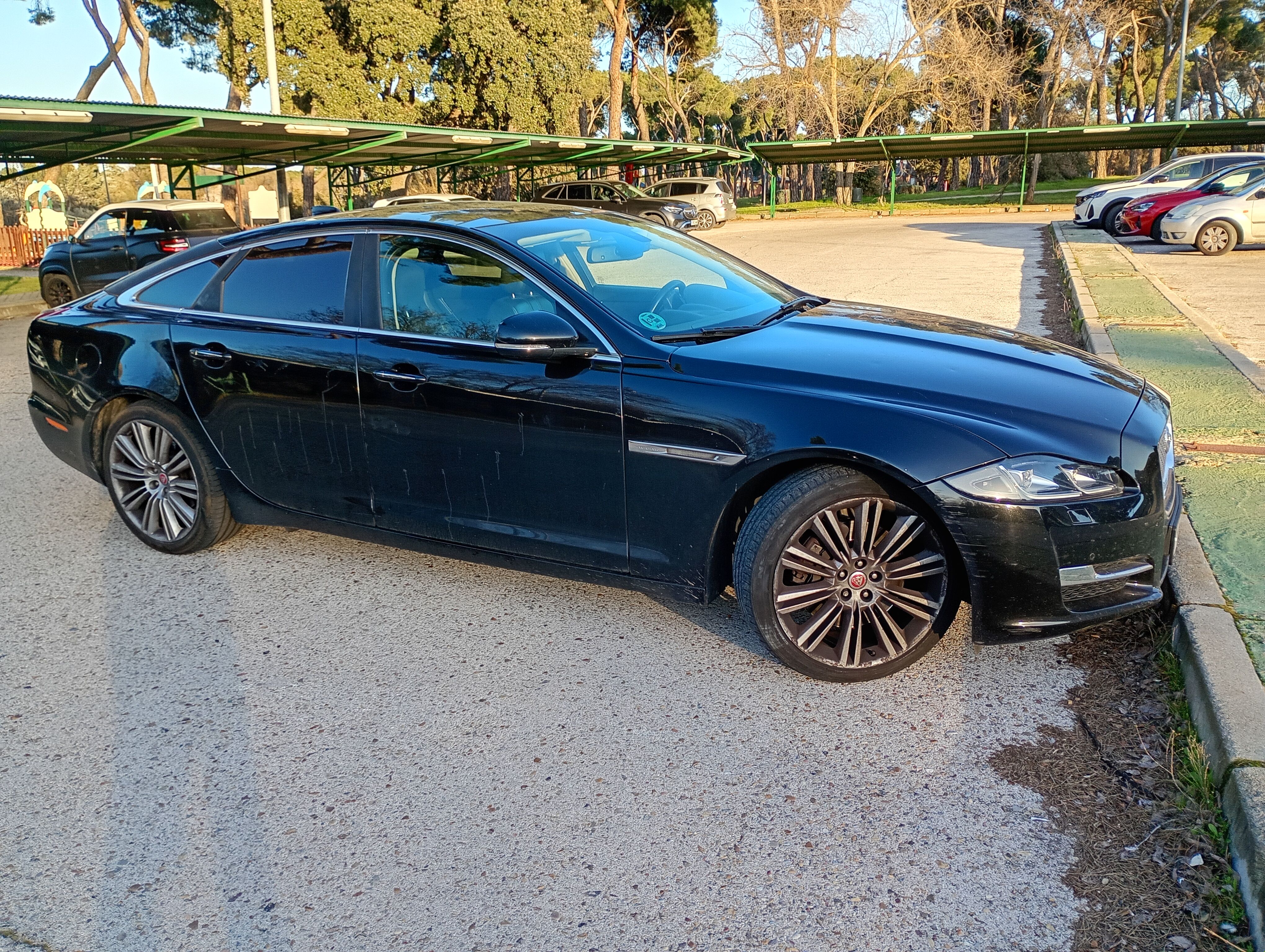 IMG_20260226_181118143_HDR