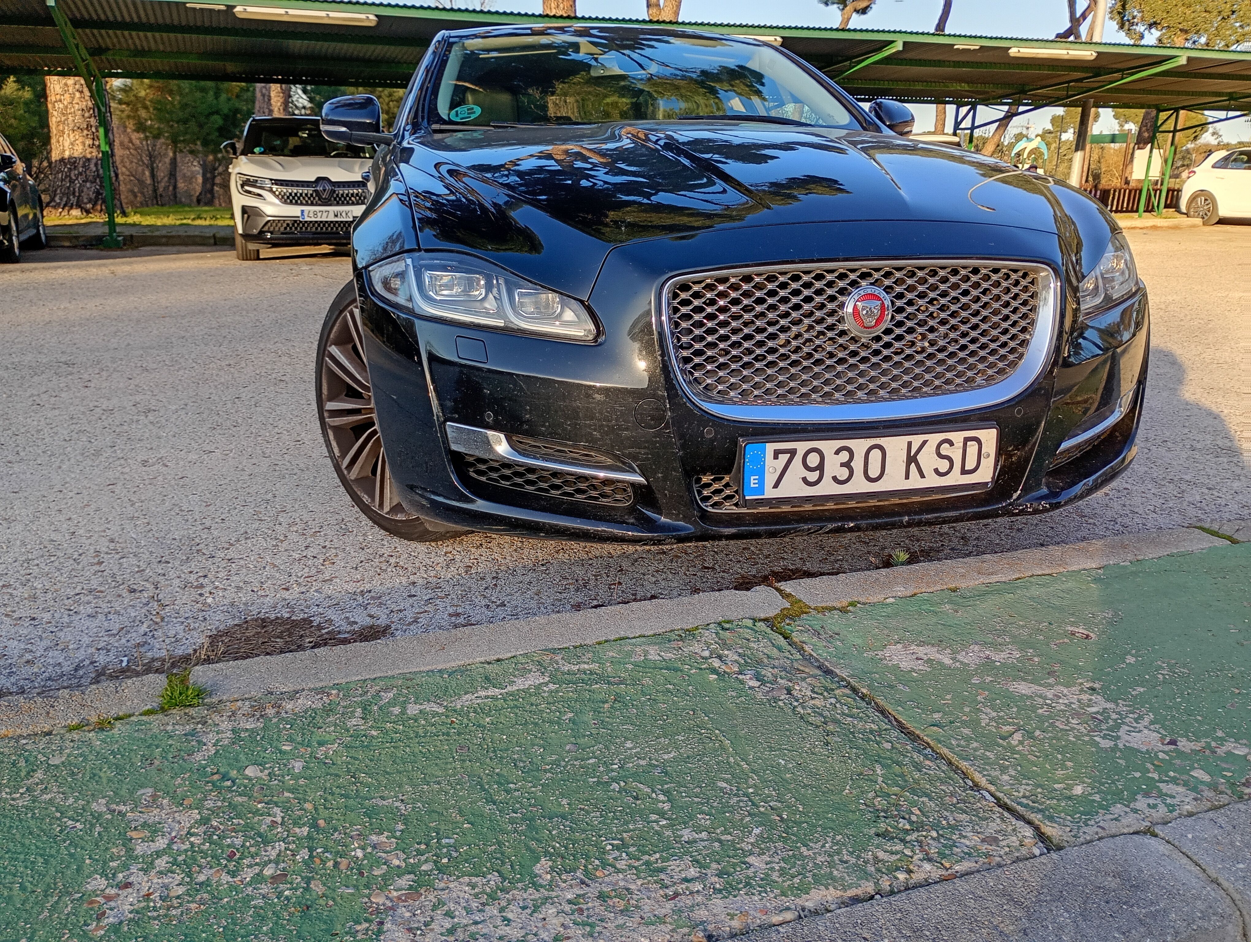 IMG_20260226_181131264_HDR